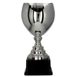 Puchar Metalowy Srebrny - 2089