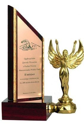 Trofeum drewniane T TROF1A/G+F330B Trofeum drewniane T TROF1A/G+F330B