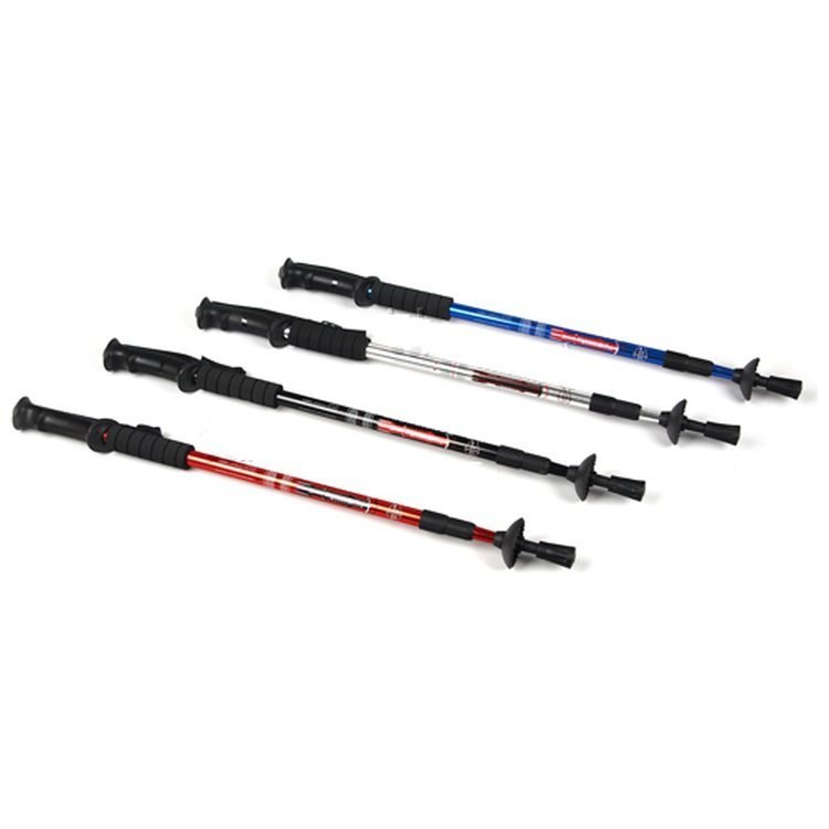 Kije Nordic Walking Trekkingowe PR1059 Kije Nordic Walking Trekkingowe PR1059