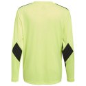 Bluza bramkarska dziecięca adidas Squadra 21 zielono-czarna
