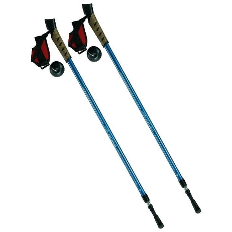Kije Nordic Walking Spartan 2-sekwwencyjne niebieskie Kije Nordic Walking Spartan 2-sekwwencyjne niebieskie