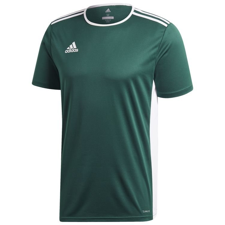 Koszulka męska adidas Entrada 18 zielona piłkarska, sportowa