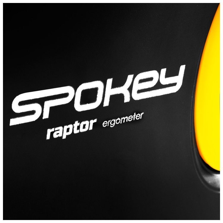Rower magnetyczny Spokey RAPTOR