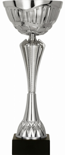 Puchar Metalowy Srebrny Lasermax 8349