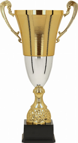 Puchar metalowy złoto-srebrny BALTA - 2071
